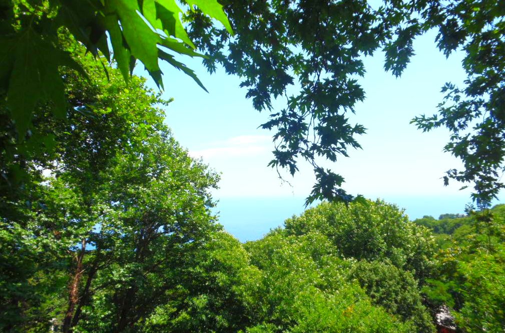 pâlc de foioase Tsagarada Pelion