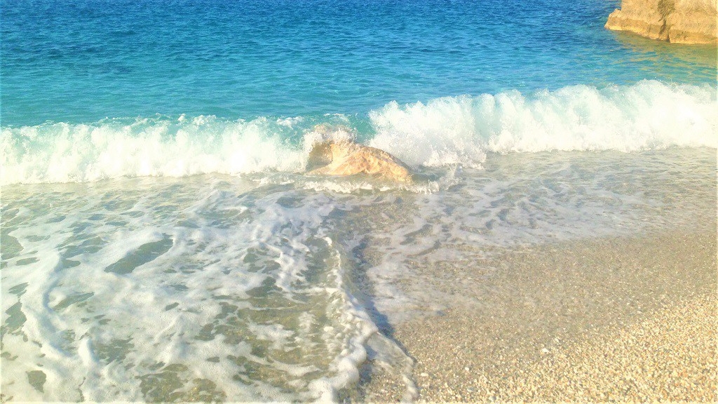 plaja Limnionas Pelion