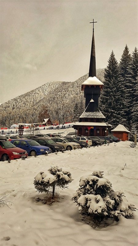 Vedere spre pârtie Poiana Brațov