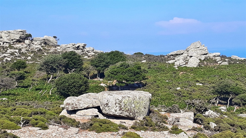 Platoul Erifi insula Ikaria